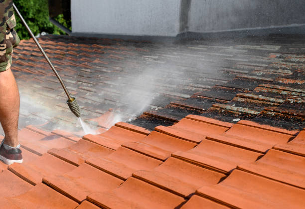 Best Exterior Home Cleaning  in Oldsmar, FL