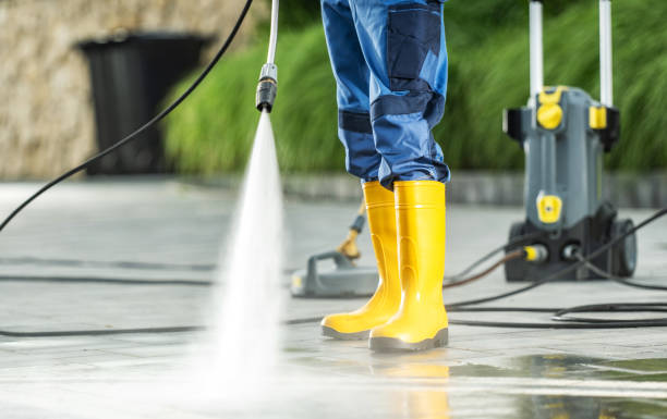 Best Local Pressure Washing Services  in Oldsmar, FL